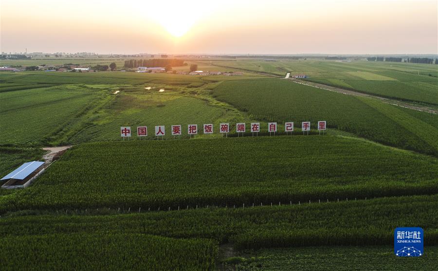 (新华全媒头条·图文互动)(7)习近平关心关怀劳动者的故事